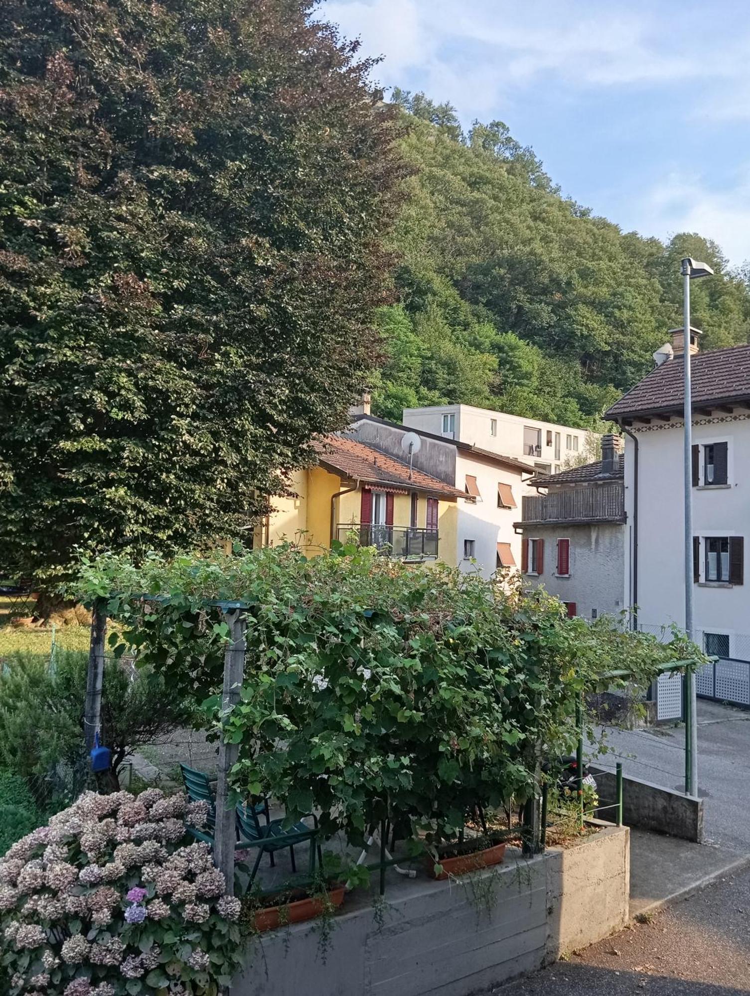 Willa Minicasa Bellinzona Zewnętrze zdjęcie